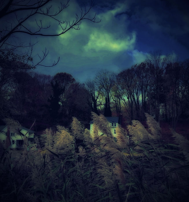 Mary Jane Tenerelli - Night Vision