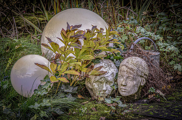 Richard Murrin - Garden Objects