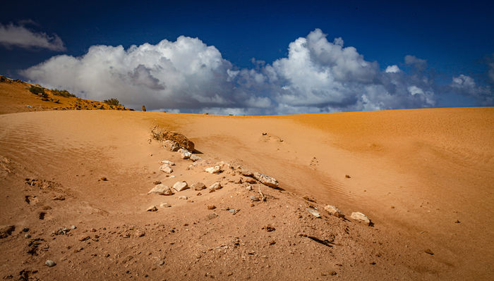 Sahara
