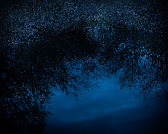 Matt Lancaster - The Cradle of Dawn