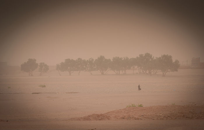 Sahara