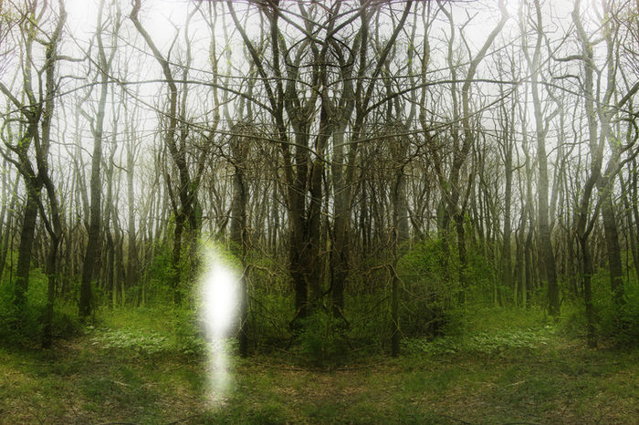 Ellen Jantzen - Searching for Lost Dream