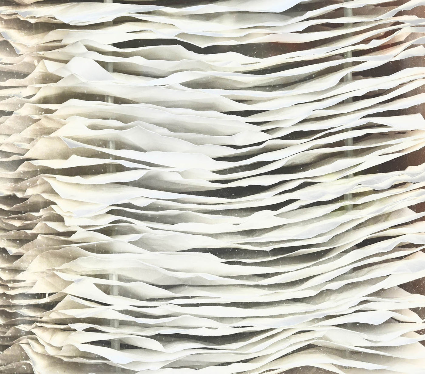 Photograph by Max Cavitch, 22 of 23