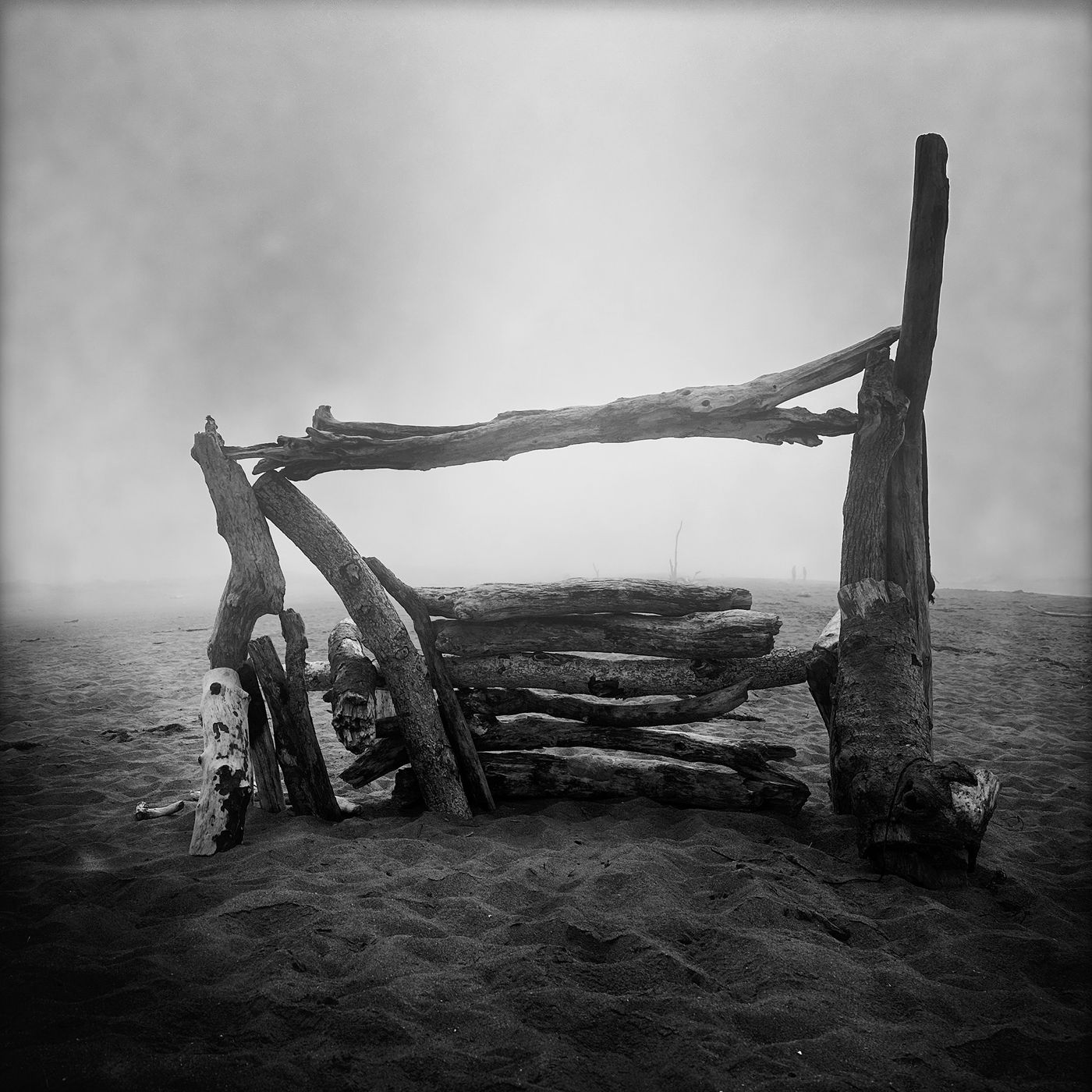 Level by Sena Clara Creston