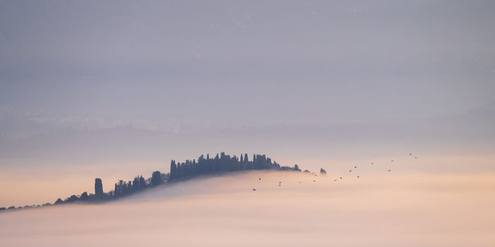 James Knauf - Rignano sull'Arno